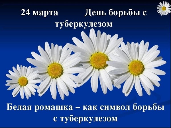 Всемирный день борьбы с тубекрулёзом.